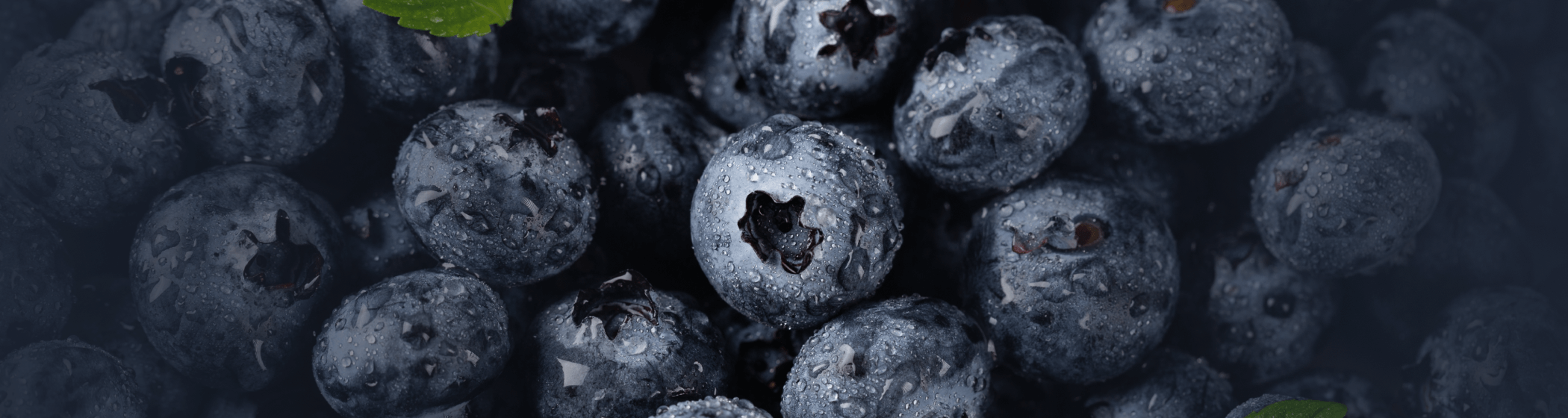 Why you should eat blueberries?