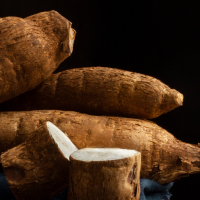 Kudzu Root picture