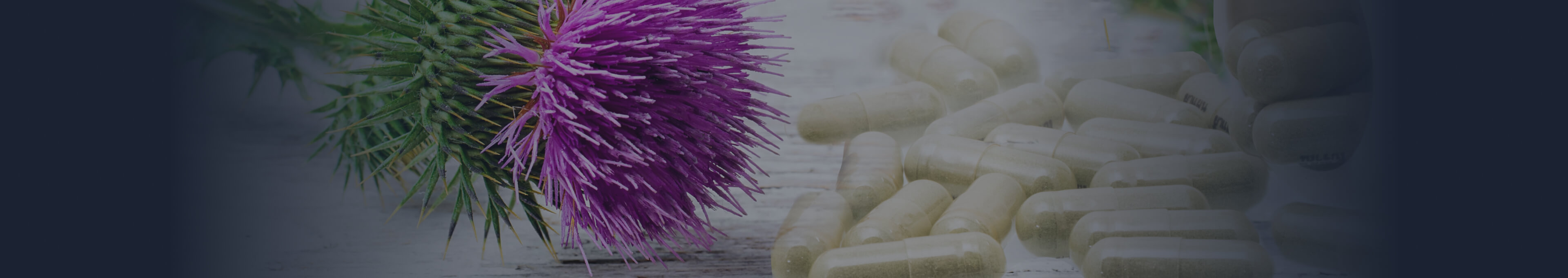 Taking Milk Thistle for Liver Health Ultiself Habits