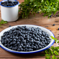 Eat Wild Blueberries picture