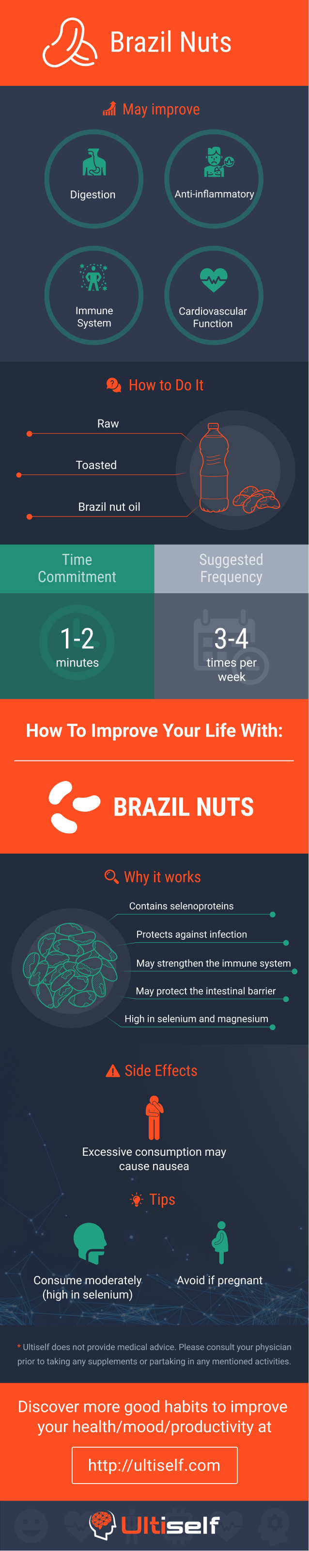 Brazil nuts infographic