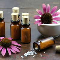 Take Echinacea picture