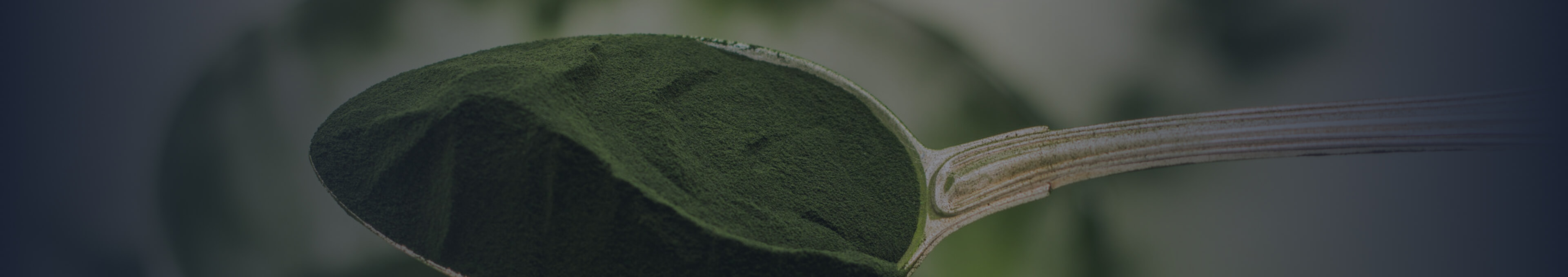 How Taking Chlorella Can Improve Your Health Ultiself Habits