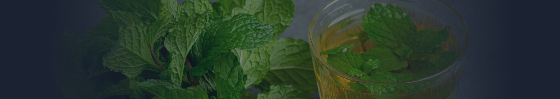 Take Lemon Balm