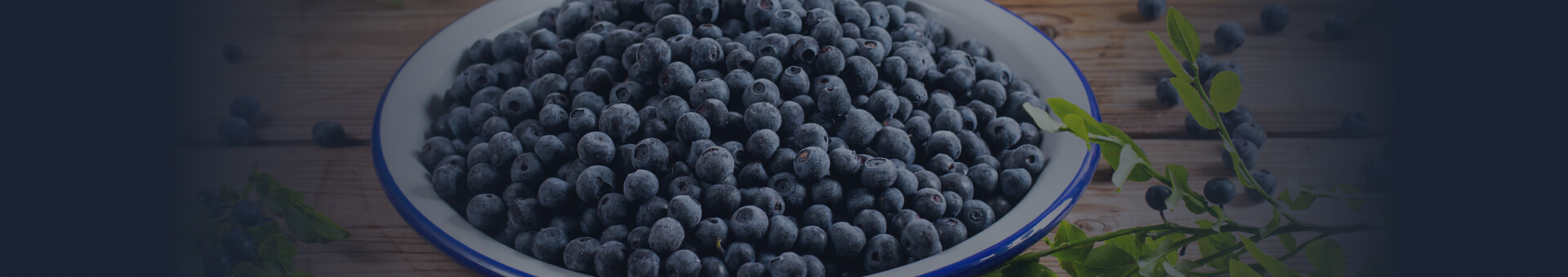 Eat Wild Blueberries