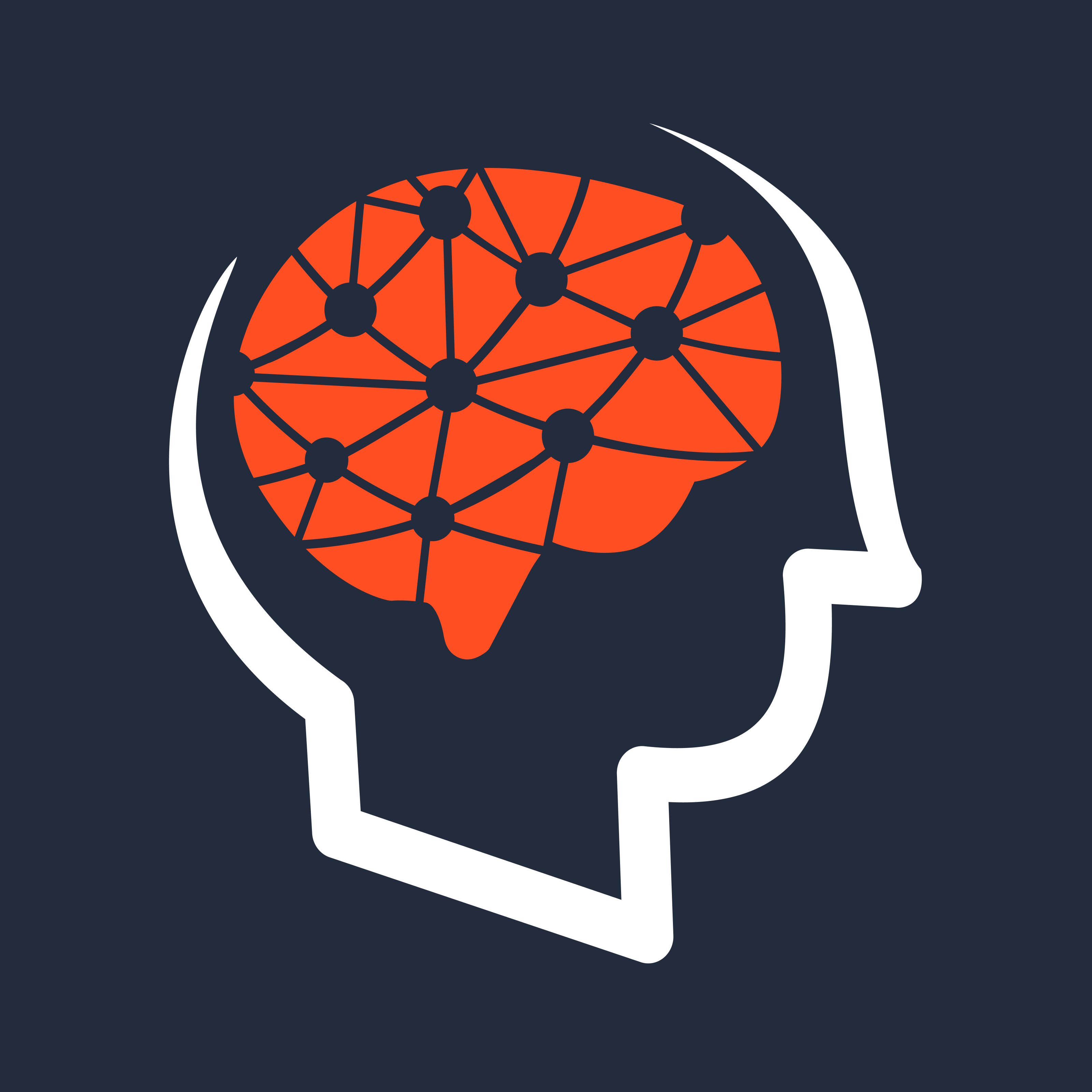 Author avatar